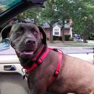 Meet your Posher, Jay